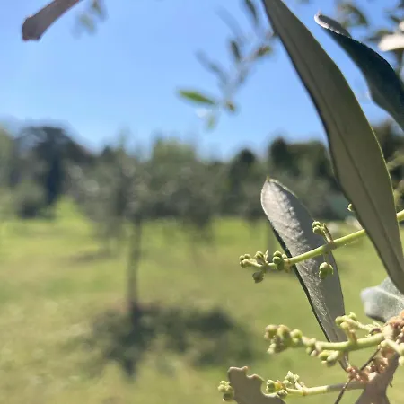 Farm stay Tenuta Poggio Farnia *